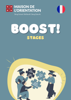 Final_boost_stage_FR