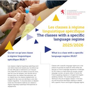 Les classes à régime linguistique spécifique