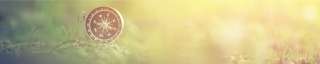 compass-grass-banner
